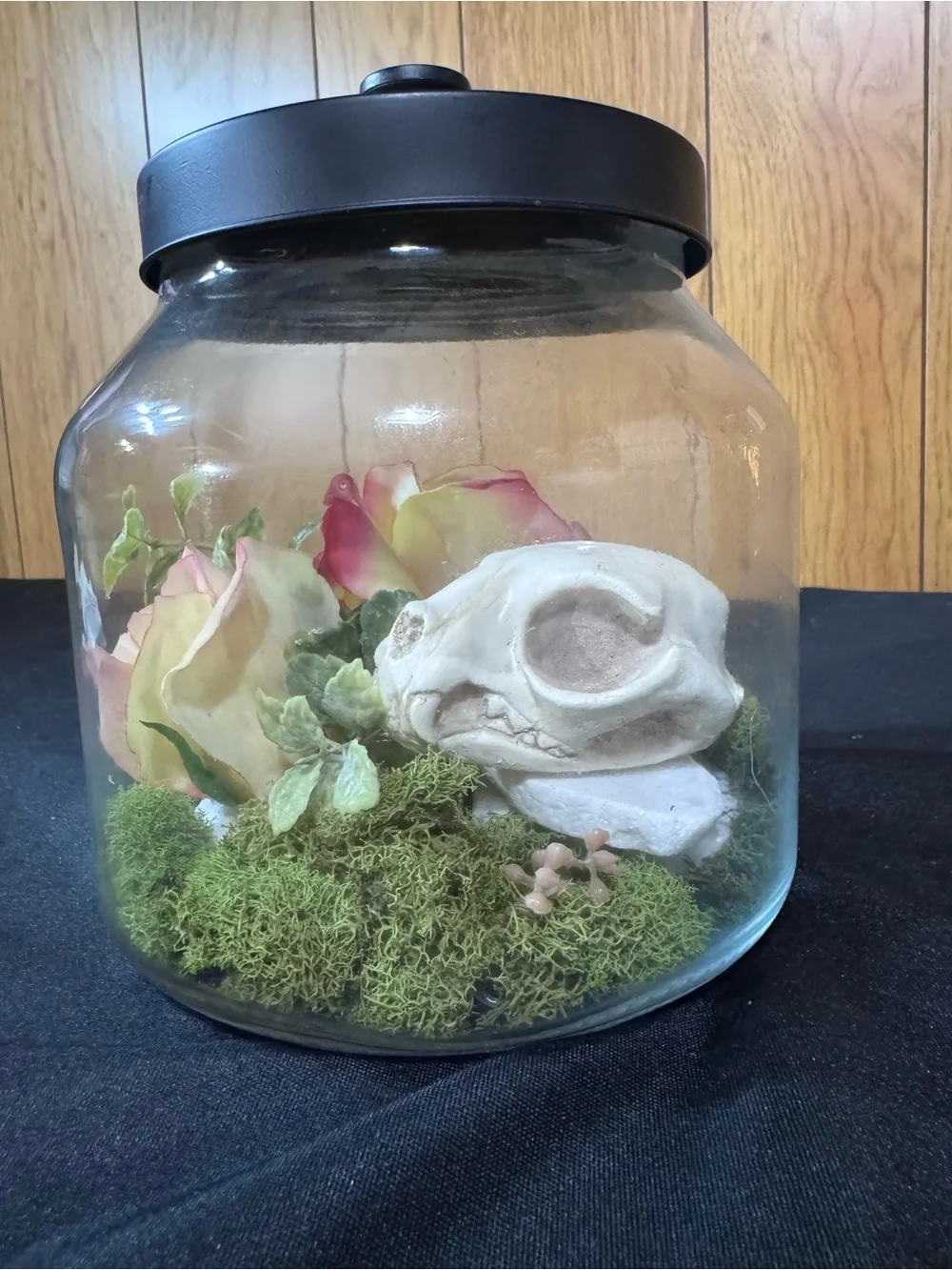 Black Lid Glass Terrarium Jar with Floral and Moss Display